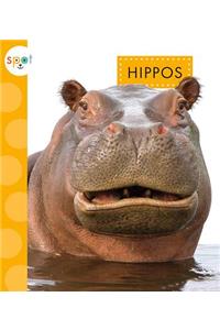 Hippos