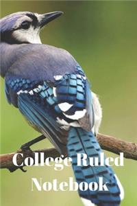 College Ruled Notebook