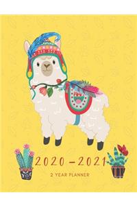 2020-2021 2 Year Planner Alpacas Monthly Calendar Goals Agenda Schedule Organizer