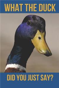 What the Duck Did You Just Say?