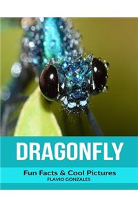 Dragonfly: Fun Facts & Cool Pictures