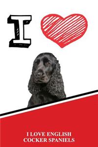 English Cocker Spaniels