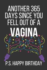 Another 365 Days Since You Fell Out of a Vagina P.S. Happy Birthday