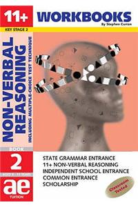 11 + Non-verbal Reasoning