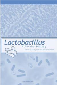 Lactobacillus Molecular Biology
