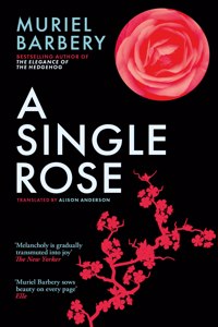 A Single Rose