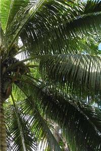 Palm Trees Notebook