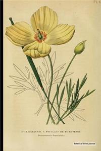 Botanical Print Journal