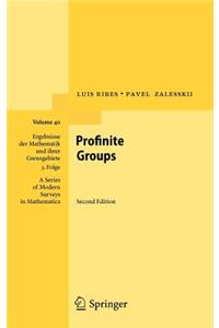 Profinite Groups