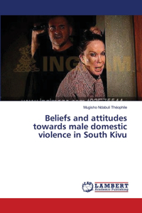 Beliefs and attitudes towards male domestic violence in South Kivu