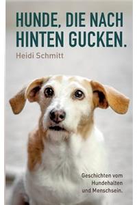 Hunde, Die Nach Hinten Gucken.