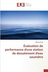 Évaluation de Performance d'Une Station de Dessalement d'Eau Saumâtre