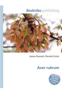 Acer Rubrum