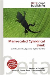 Many-Scaled Cylindrical Skink