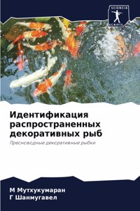 Идентификация распространенных декора&