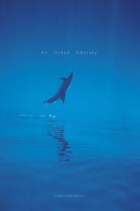 An Ocean Odyssey