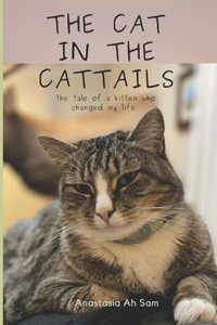 The Cat in the Cattails