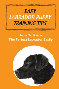 Easy Labrador Puppy Training Tips