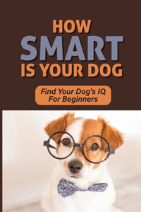 How Smart Is Your Dog