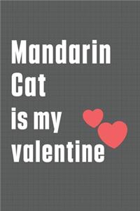 Mandarin Cat is my valentine