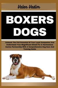 Boxers Dogs
