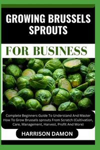 Growing Brussels Sprouts for Business