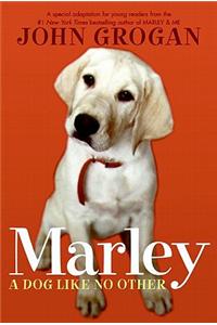 Marley
