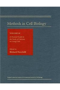 Practical Guide to the Study of Calcium in Living Cells