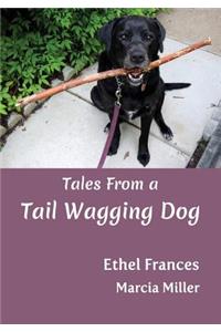 Tales From a Tail Wagging Dog