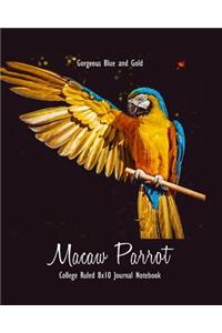Gorgeous Blue and Gold Macaw Parrot College Ruled 8x10 Journal Notebook