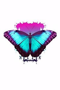 Butterfly Notebook