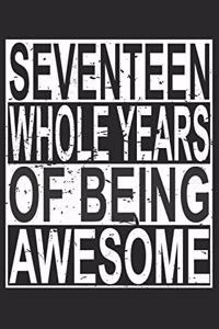 Seventeen Whole Years Of Being Awesome