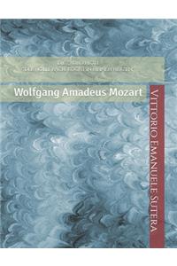 Die Zauberflöte Der Hölle Rache kocht in meinem Herzen: Wolfgang Amadeus Mozart