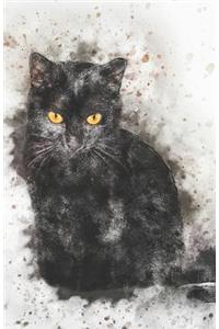 2019-2020 Academic Planner Weekly and Monthly Black Cat