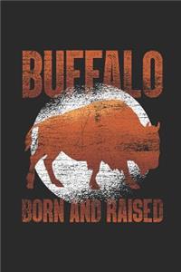 Buffalo Born and Raised