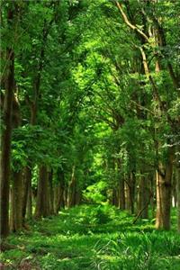 Nature notebook - best notebook with quotes, perfect 120 lined pages #13