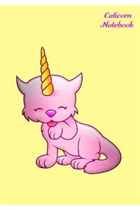 Caticorn Notebook