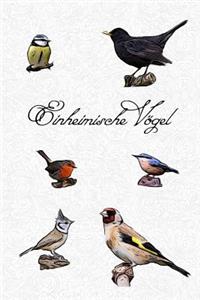 Einheimische Vögel