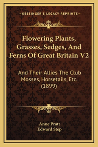 Flowering Plants, Grasses, Sedges, And Ferns Of Great Britain V2