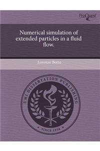Numerical Simulation of Extended Particles in a Fluid Flow