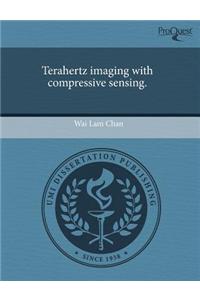 Terahertz Imaging with Compressive Sensing