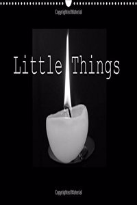 Little Things 2016