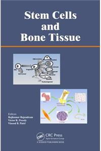 Stem Cells and Bone Tissue