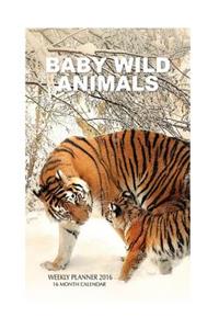 Baby Wild Animals Weekly Planner 2016: 16 Month Calendar