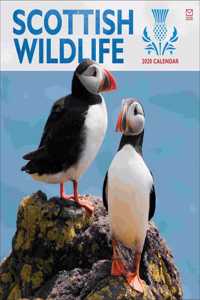 SCOTTISH WILDLIFE W 2020