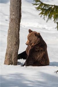 Brown Bear in the Snow Journal