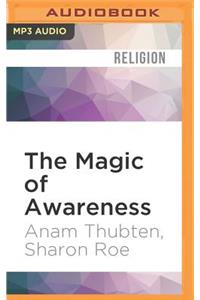 Magic of Awareness