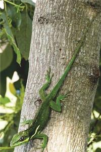Knight Anole Lizard Journal