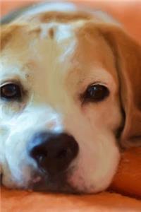 Sleepy Baby Beagle Puppy Dog Portrait Journal