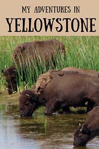 My Adventures in Yellowstone